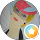 avis