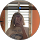 avis