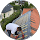 avis