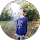 avis