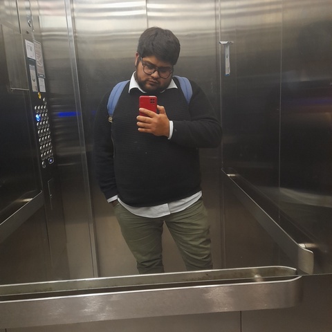 avis